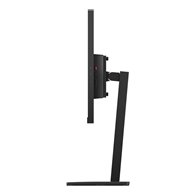 Lenovo ThinkVision E24q-30 écran plat de PC 60,5 cm (23.8") 2560 x 1440 pixels 2K Ultra HD LED Noir