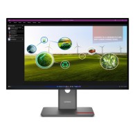 Lenovo ThinkVision P27Q-40 Moniteur
