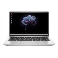 HP Pro mt440 G3 Intel® Celeron® 7305 35,6 cm (14") HD 8 Go DDR4-SDRAM 128 Go SSD Wi-Fi 6 (802.11ax) Windows 10 IoT Enterprise