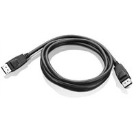 Lenovo DisplayPort 1,8 m Noir