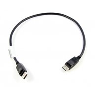 Lenovo 0.5m DisplayPort 0,5 m Noir