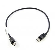 Lenovo 0.5m DisplayPort 0,5 m Noir