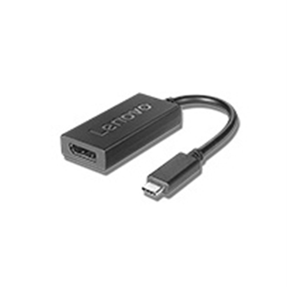 Lenovo 4X90Q93303 câble vidéo et adaptateur 0,2 m USB Type-C DisplayPort Noir
