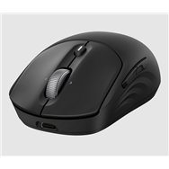 HP Souris sans fil rechargeable 705