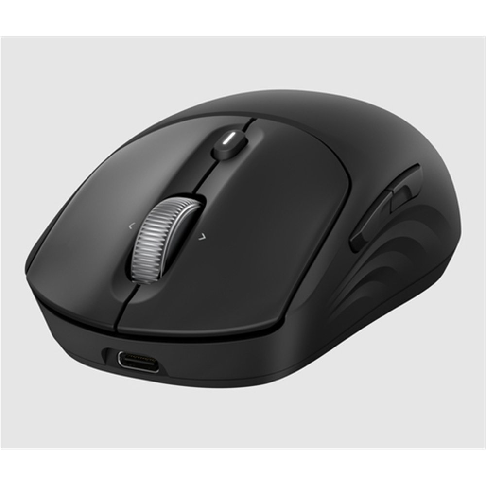 HP Souris sans fil rechargeable 705