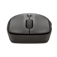 HP Souris silencieuse sans fil noire 405