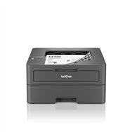 Brother HL-L2400DW imprimante laser 1200 x 1200 DPI A4 Wifi