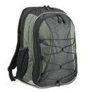 Lenovo Performance Backpack 39,1 cm (15.4") Étui sac à dos Gris