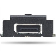 Lenovo 4XH1K25075 carte et adaptateur d'interfaces Interne DisplayPort