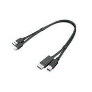 Lenovo 4X91D11453 câble USB USB 3.2 Gen 1 (3.1 Gen 1) 0,43 m USB A USB B Noir
